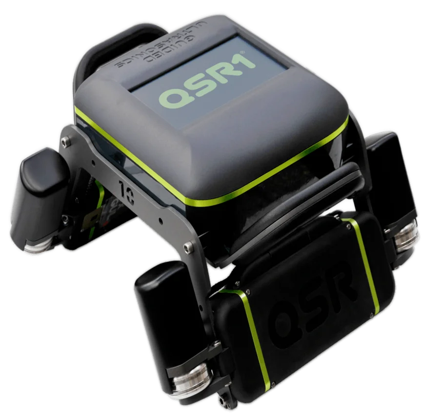 QSR1